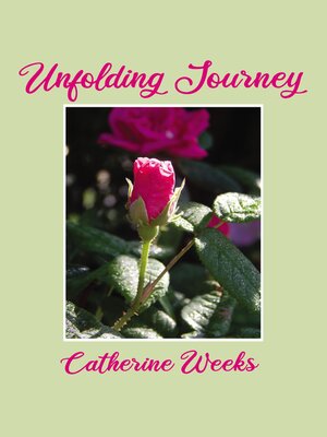 cover image of Unfolding Journey